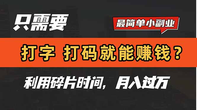 只需要打字，打码，就能赚钱？简单的赚钱小副业，利用碎片时间，月入过万-知识星球