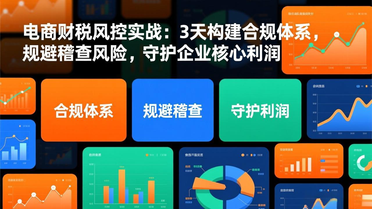 电商财税风控实战：3天构建合规体系，规避稽查风险，守护企业核心利润-知识星球