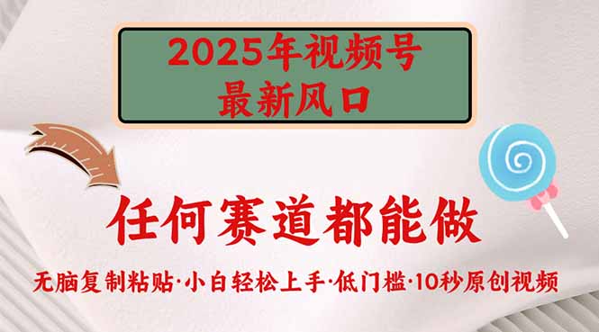 2025年视频号新风口，低门槛只需要无脑执行-小禾网创