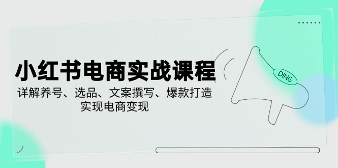 小红书电商实战课程，详解养号、选品、文案撰写、爆款打造，实现电商变现-小禾网创