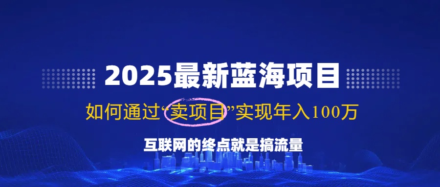 2025最新蓝海项目，零门槛轻松复制，月入10万+，新手也能操作！-小禾网创