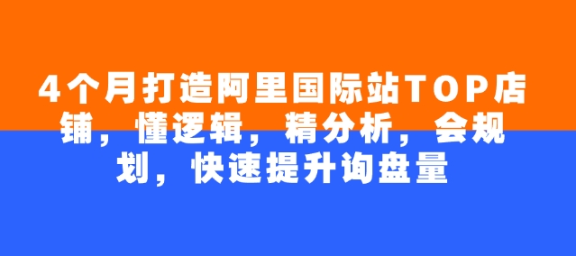 4个月打造阿里国际站TOP店铺，懂逻辑，精分析，会规划，快速提升询盘量-小禾网创