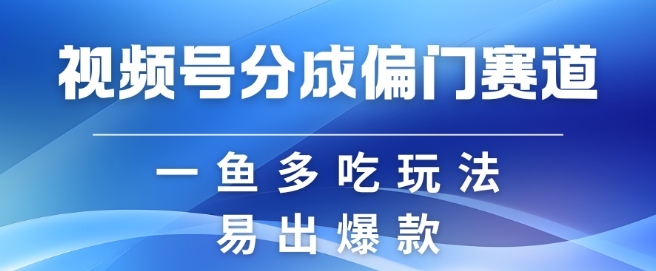 视频号创作者分成计划偏门类目，容易爆流，实拍内容简单易做【揭秘】-小禾网创