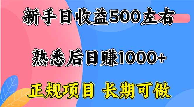 新手日收益500+ 正规项目 长期可做-知识星球