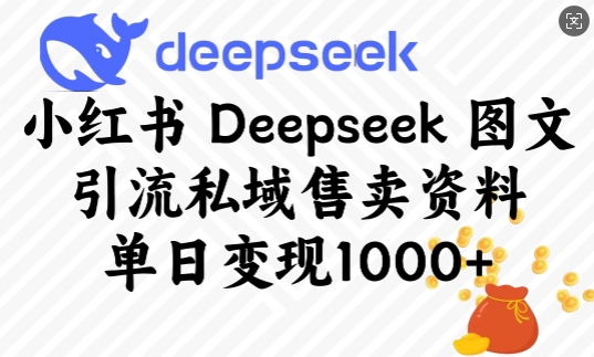 小红书Deepseek图文引流私域售卖资料，单日变现多张-小禾网创