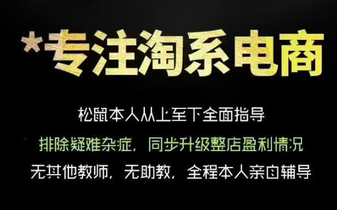 松鼠会电商VIP课程,从基础布局到高阶优化,助你掌握淘宝运营逻辑,提升店铺流量与转化(更新0809)-知识星球
