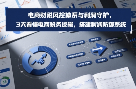 电商财税风控体系与利润守护,3天看懂电商税务逻辑,搭建利润防御系统-知识星球