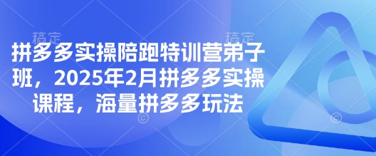 拼多多实操陪跑特训营弟子班，2025年2月拼多多实操课程，海量拼多多玩法-小禾网创