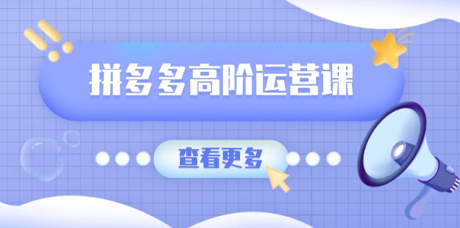 拼多多高阶运营课：极致群爆款玩法，轻付费无尽复制，打造单品爆款之路-小禾网创