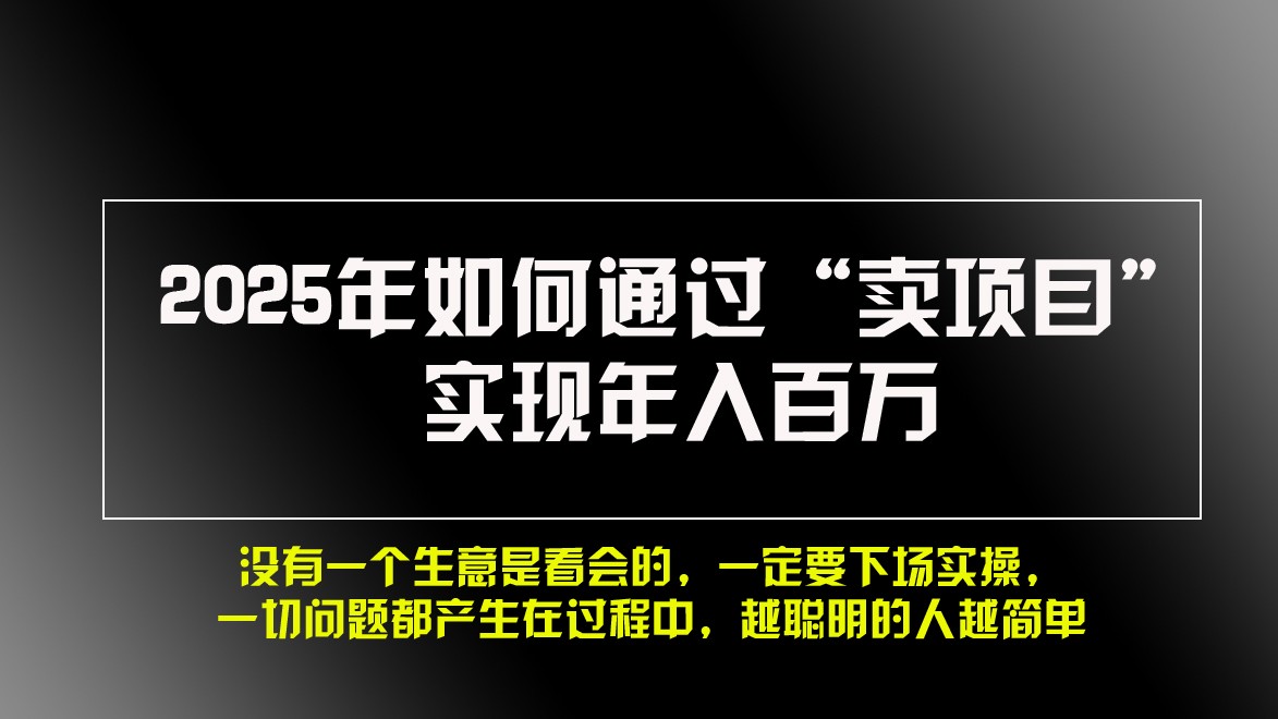 2025年如何通过“卖项目”实现年入百万-小禾网创