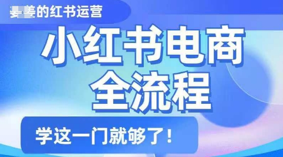 小红书电商全流程，精简易懂，从入门到精通，学这一门就够了-小禾网创