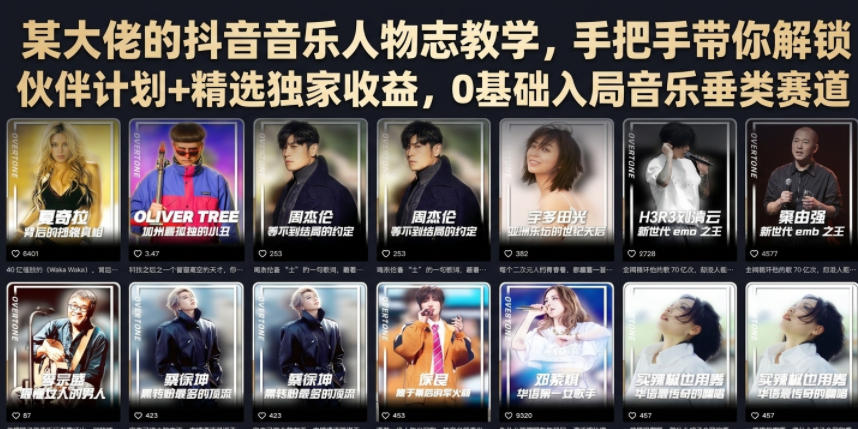 某大佬的抖音音乐人物志教学，手把手带你解锁伙伴计划+精选独家收益，0基础入局音乐垂类赛道-知识星球