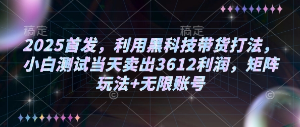 2025首发，利用黑科技带货打法，小白测试当天卖出3612利润，矩阵玩法+无限账号【揭秘】-小禾网创