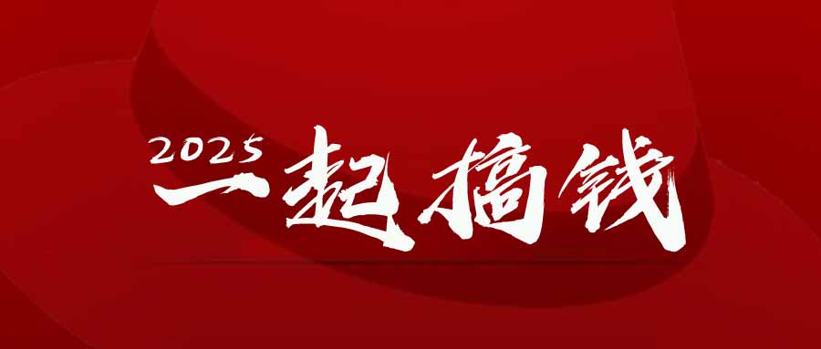 2025年，请“不择手段”去搞钱!-知识星球