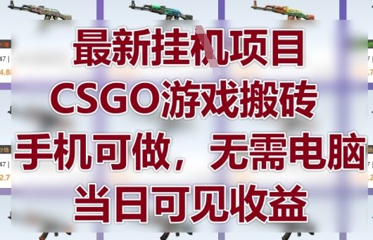 最新挂G项目，CSGO游戏搬砖，手机可做，无需电脑，当日见收益【揭秘】-知识星球