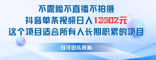 不露脸不直播不拍摄抖音单条视频日入1k+这个项目适合所有人长期积累的项目-知识星球
